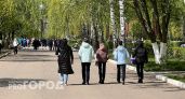 Северный ветер и 15-градусное тепло: что омрачит день среды в Чувашии
