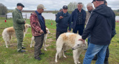 В чувашской деревне состоялась сходка полсотни охотничьих собак и их хозяев