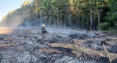 В Шумерлинском районе загорелся лес 