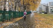 Похолодание, дождь со снегом и первое веяние зимы: какой ждать октябрь в Чувашии