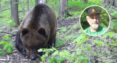 Эксперт чувашского заповедника рассказал, как избежать встречи с медведем в лесу: “Он сам вас боится”