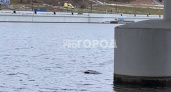 В Чебоксарах под мостом на заливе обнаружили тело женщины