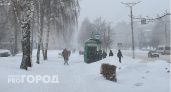 В Чувашии поднимется метель, и ветви деревьев покроет изморозь