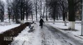 Мокрый снег и погодные качели продолжают создавать видимость январской весны в Чувашии