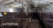 Шесть агропредприятий Чувашии признали опасными для окружающей среды