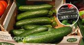 В Чувашии огурцы из местных теплиц оказались дороже, чем заморские фрукты