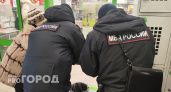 В Чувашии девочка помогла аферистам похитить у бабушки более ста тысяч рублей за бонусы в игре 