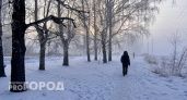Воскресенье порадует жителей Чувашии легким морозом и небольшим снегом