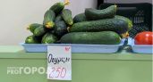 В Чебоксарах начался огуречный ценопад: где купить дешевле