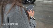 Виртуальная дружба с "призывником" обошлась чебоксарке в круглую сумму