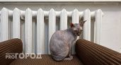 Власти ответили чебоксарцам про отключение отопления 