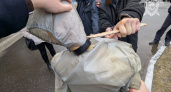 В Чувашии взяли под стражу обвиняемого в покушении на убийство: ударил ножом и скрылся
