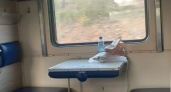 Лучше на боковушке, чем в купе: эксперты назвали лучшее место в поезде 