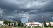МЧС оповестило жителей Чувашии о порывистом ветре с грозой