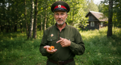 Егерь поделился простым способом отпугивания комаров и мошкары в лесу и на даче без покупки средств