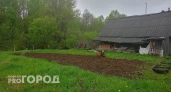 Садовый комарик в Чувашии и находка таксиста за 225 тысяч: главные новости за 06.06.2025 в Чебоксарах