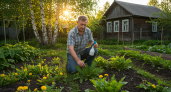 2 опрыскивания на сорняки — и от них следа не останется: не участок, а загляденье - химия не нужна