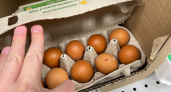 Лотки от яиц больше не выбрасываю: выручают на кухне и в хозяйстве 