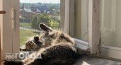 На фоне застоя на вторичном рынке квартиры в Чебоксарах дорожают