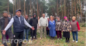 Жители деревни Мошкасы требуют прекратить вырубку 11 гектаров леса вокруг их домов