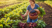 Забудьте про погреб: этот проверенный способ сохранит свеклу свежей на долгие месяцы — без дополнительных затрат