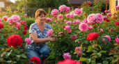 Развожу 100 гр. водой — и розы цветут непрерывно до самой осени, бутоны достигли 40 сантиметров — запах на 2 км в округе