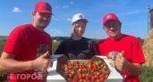 Четыре поколения Егоровых из Чувашии выращивают клубнику: "У нас в регионе большая конкуренция в этом деле"