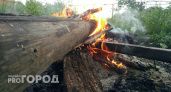 В Чувашии рядом с двумя деревнями случился пожар