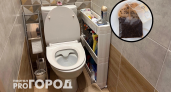 Муж крутит пальцем у виска, но унитаз блестит, как бриллиант: кинуть пару чайных пакетиков – и будет чудо
