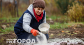 Раскидываю этот порошок в огороде в октябре – и земля словно пух: пышная и плодородная