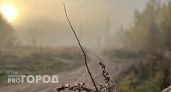 В Чувашии снова сгустятся туманы, днем воздух прогреется до +16