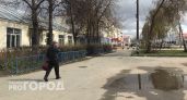 Комплекс по переработке личинок мух в малом городе Чувашии полностью запустят к 2027 году