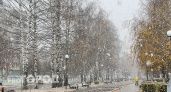 Мокрый снег и гололедица: прогноз погоды в Чувашии на 13 ноября