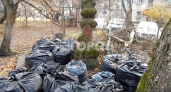 Чебоксарцы пожаловались на десятки мусорных мешков, которые никто не убирает: "Вороны все прогрызают"
