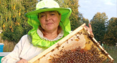 Чувашский мед признали одним из самых вкусных в стране