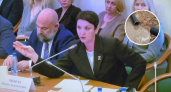 "Конь не валялся, идет угроза обрушения домов": депутат Госдумы не согласна с местными отчетами о строительстве очистных в Новом городе