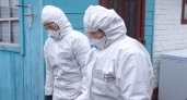 В Аликовском районе Чувашии ввели карантин по опасному заболеванию