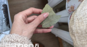 С первыми заморозками кладу лист лавра на батарею и живу без бед: вот что происходит – вся семья замечает разницу