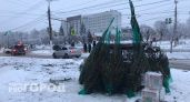 В Чебоксарах открываются елочные базары