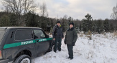 В Чувашии перед Новым годом усилили защиту лесов от желающих обзавестись новой елкой