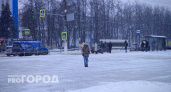 Чувашию накроют снегопады: "Новый год будем встречать с сугробами высотой около 20 сантиметров"