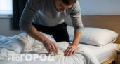Больше никаких крошек на кровати: как убираю подчистую даже самые мелкие – способ от ремонтника