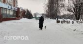 Чувашию ждет еще один снежный день без крепких морозов