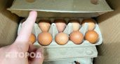 Взял на пробу яйца по 69 рублей в «Чижике»: только дома выяснил, какие они, – честный рассказ