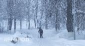 Новая неделя в Чувашии начнется со снега, метели и сильного ветра