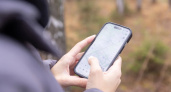 Смартфон в дикой природе: эксперт рассказал о правилах обращения со смартфоном там, где нет связи
