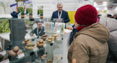 В Чебоксарах за два дня раскупили 56 тонн семенного картофеля