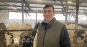 Ветеринар из Чувашии объяснил, как уберечь своих коров от опасных инфекций: “Главное - без суеты”