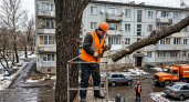 В Чебоксарах убирают аварийные деревья по просьбам жителей