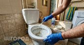 Больше не нужно тереть унитаз до изнеможения: просто залейте это средство – и через пять минут камень сойдет сам